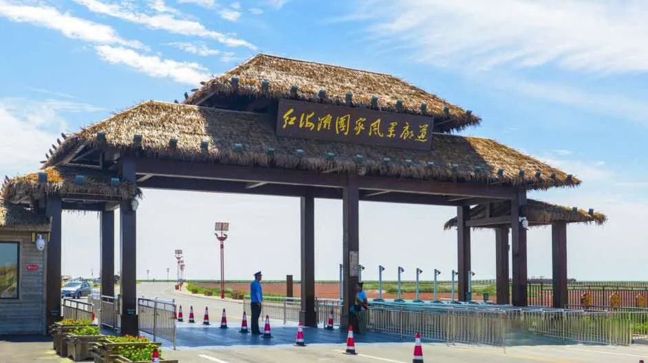 红海滩国家风景廊道风景图片