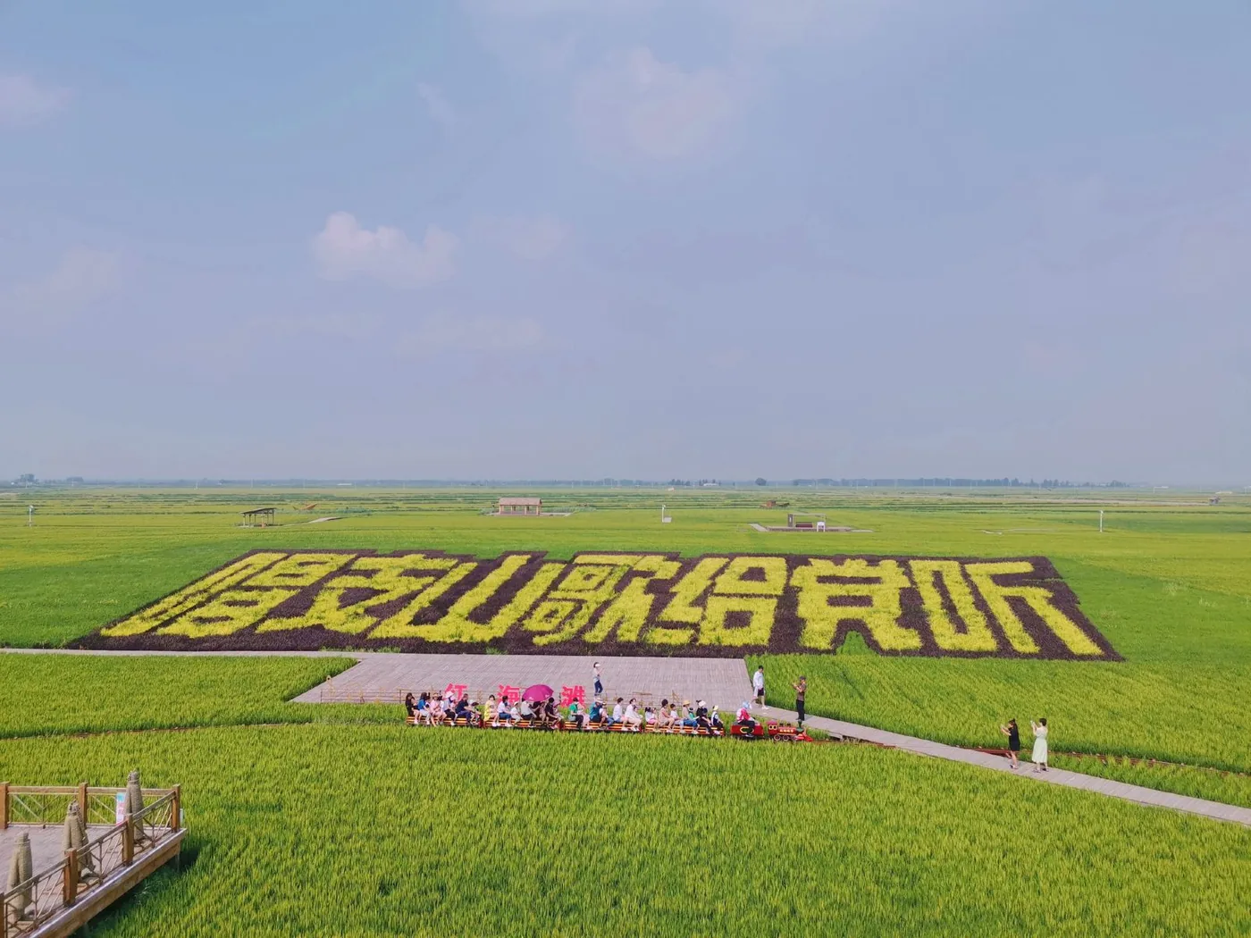 红海滩国家风景廊道风景图片